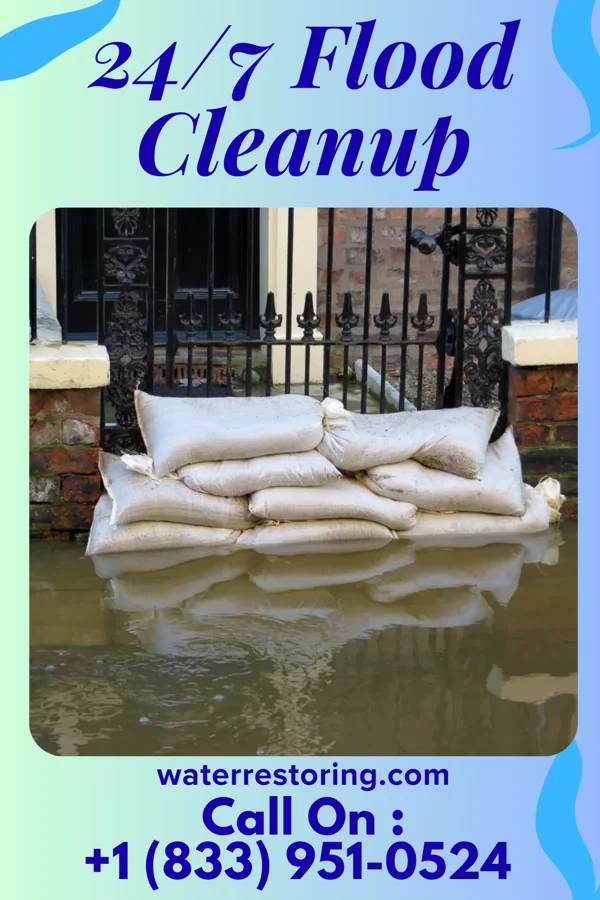 24/7 Flood Cleanup in Senath, MO