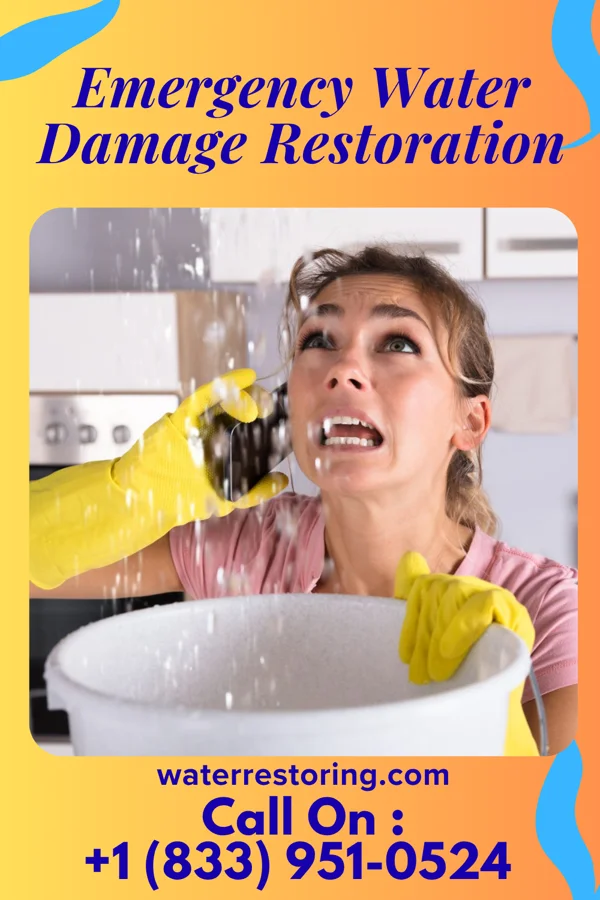 Emergency Water Damage Restoration in Senath, MO