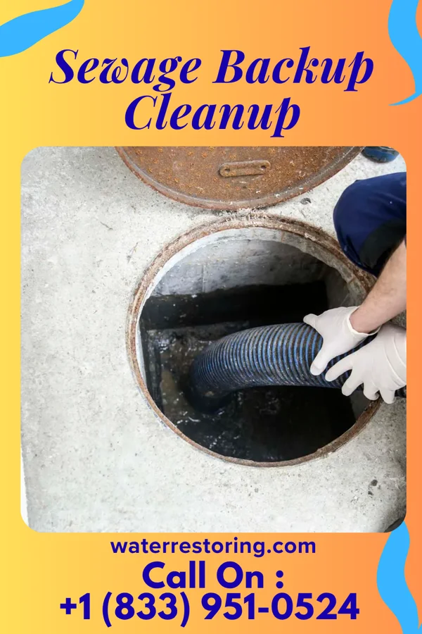 Sewage Backup Cleanup in Senath, MO