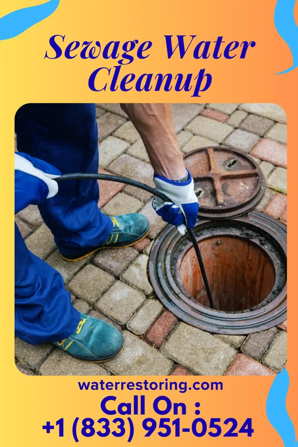 Sewage Water Cleanup in Senath, MO