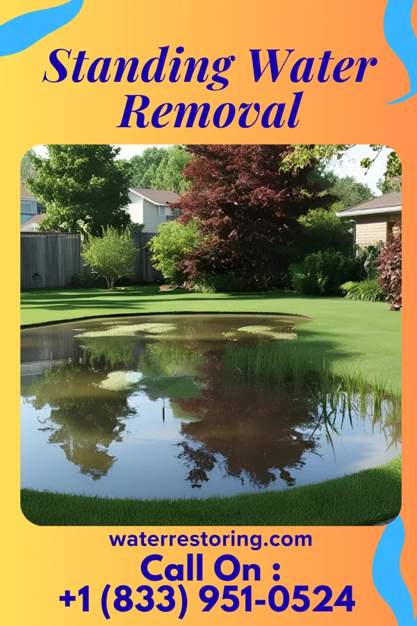 Standing Water Removal in Senath, MO